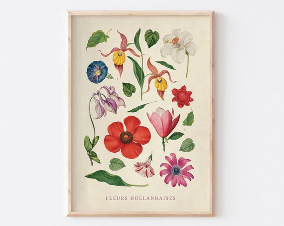 Vintage Poster Botanical Illustrations Wall Print Large Dutch Flowers Educational Colorful Unframed