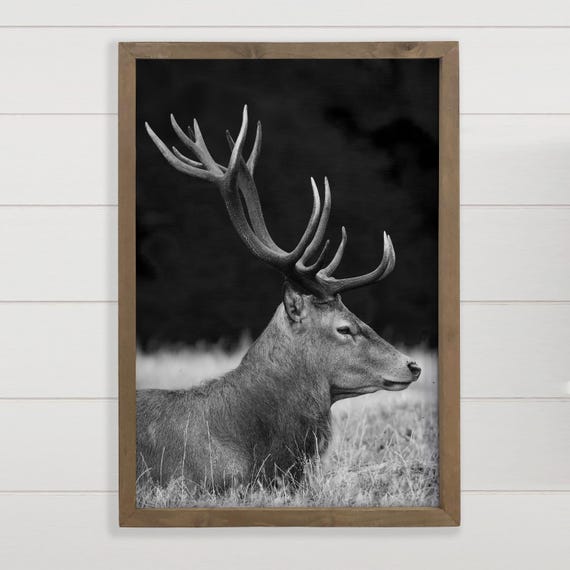 Elk Profile Black And White Wildlife Photography Framed Wooden Sign