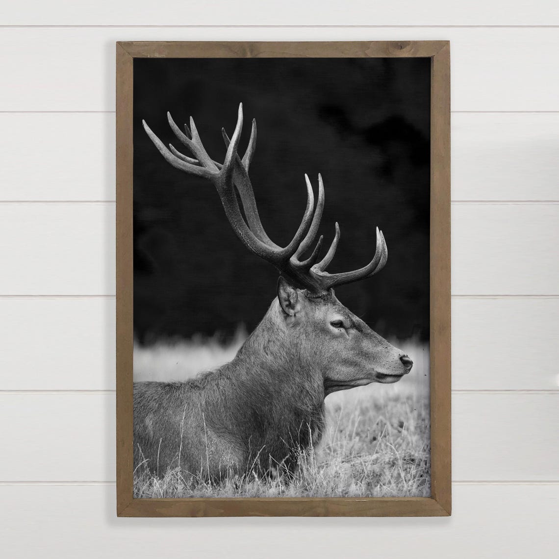 Stag With Grand Antlers Black And White Wildlife Photo Wall Art