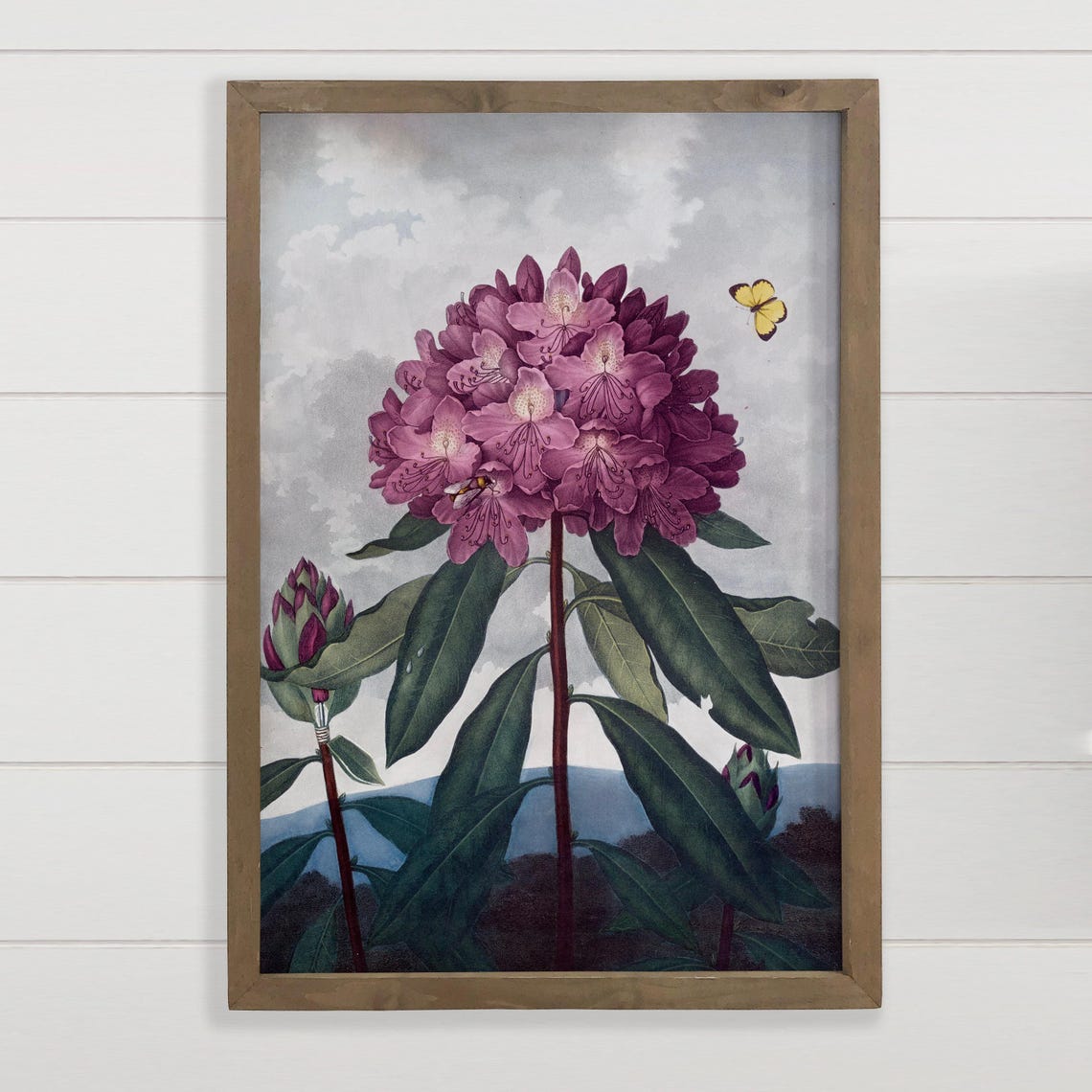 Pink Rhododendron Bloom Vintage Botanical Illustration Art Print