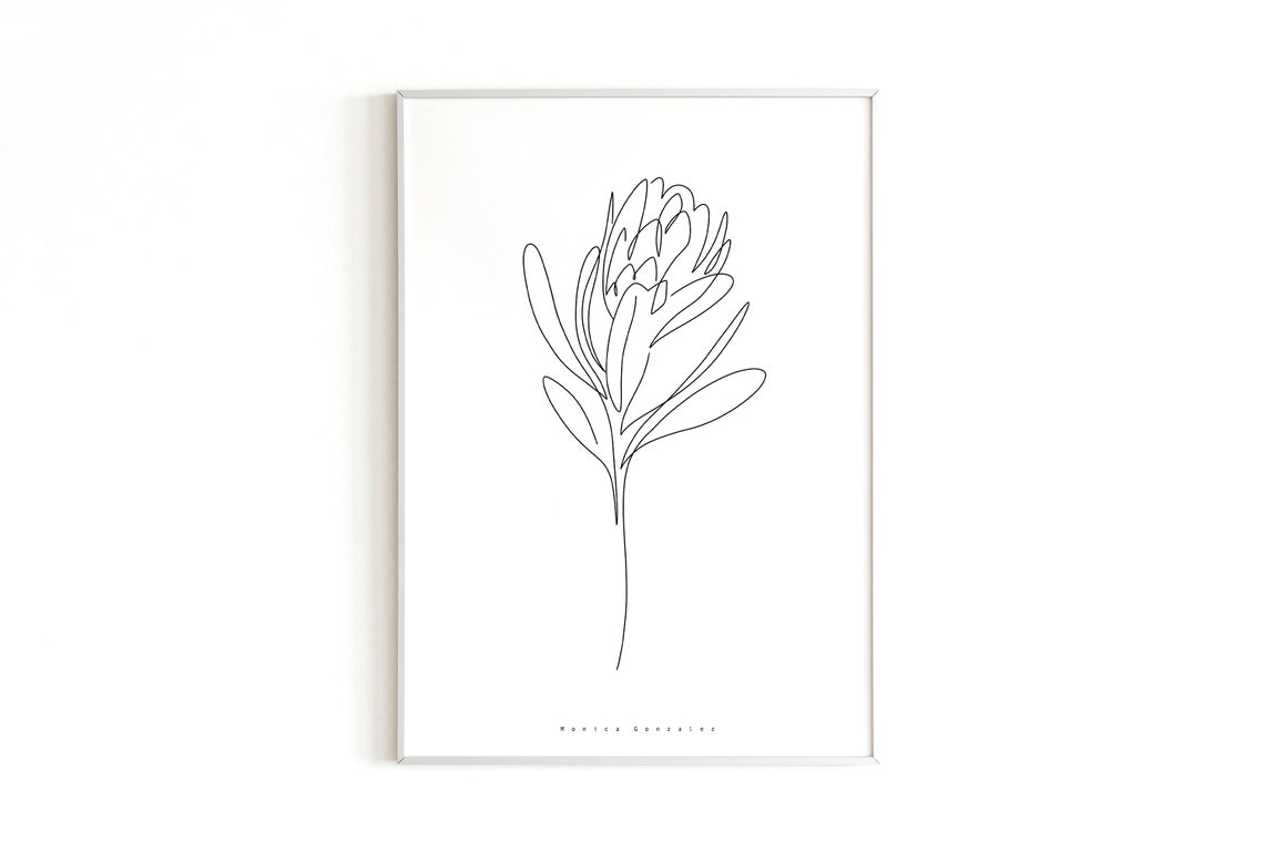 Minimalist Protea Flower Single Line Drawing Botanical Poster
