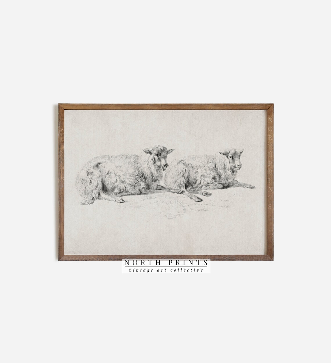 Antique Resting Sheep Pencil Sketch Two Lambs Neutral Art Print - Image 3