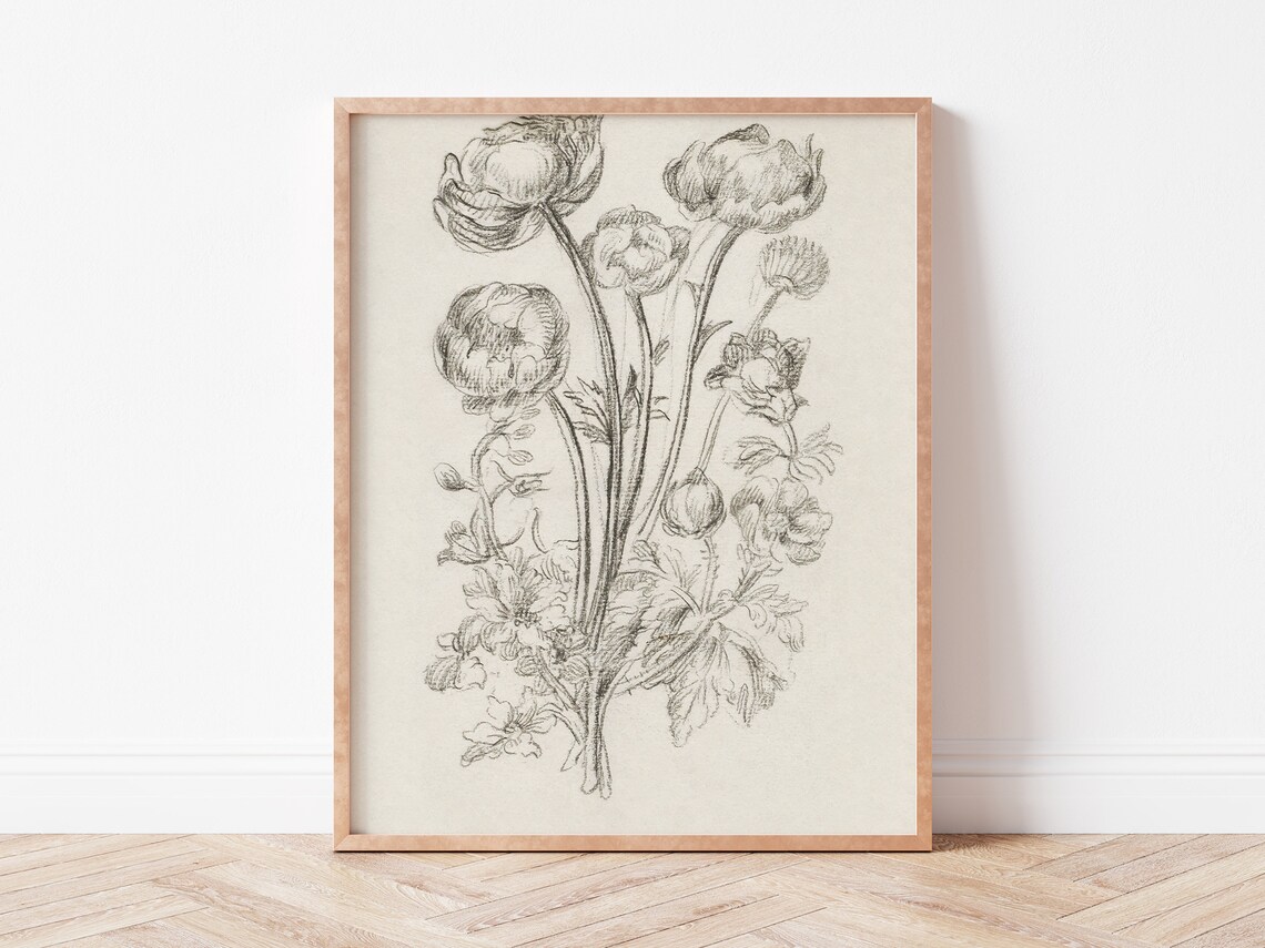 Antique Neutral Flower Sketch, Rustic Botanical Art Print - Image 3