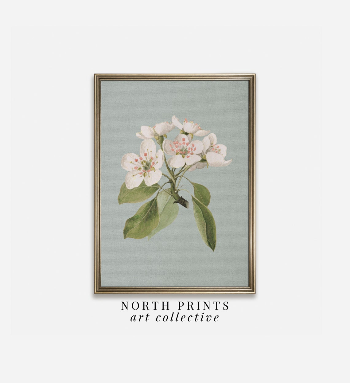 Vintage White Blossom Botanical Blue Gray Nursery Room Art Poster