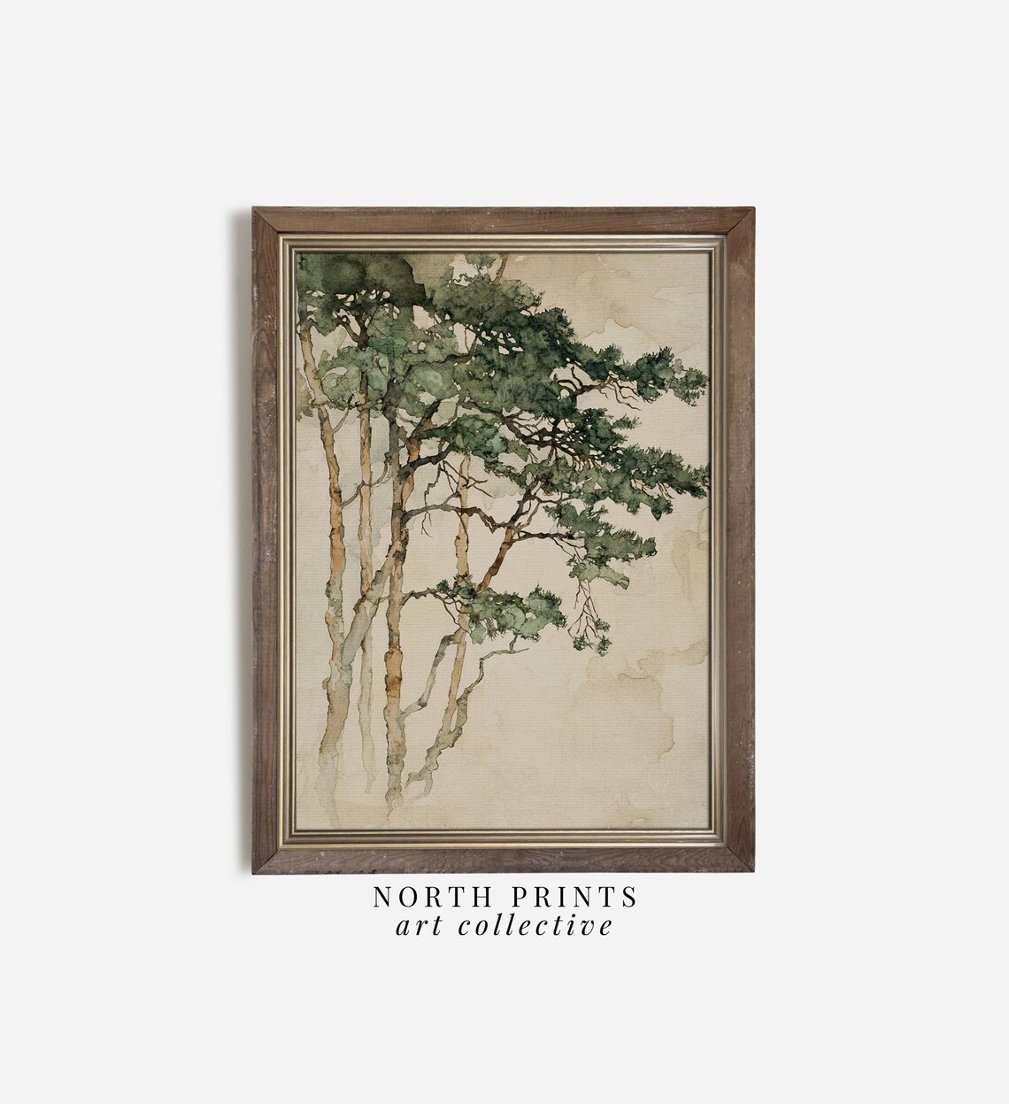 Pine Tree Minimalist Watercolor Art Print - Image 4