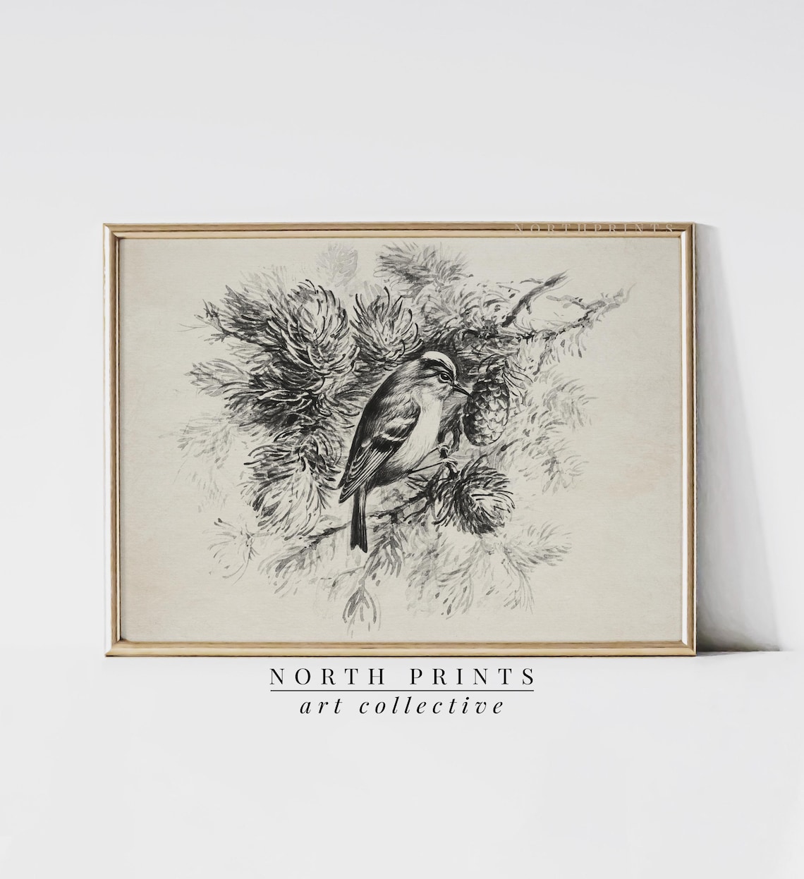 Vintage Songbird Sketch Pine Branch Cones Black White Art Print