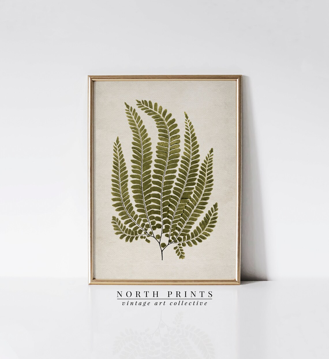 French Country Vintage Fern Art Print, Botanical