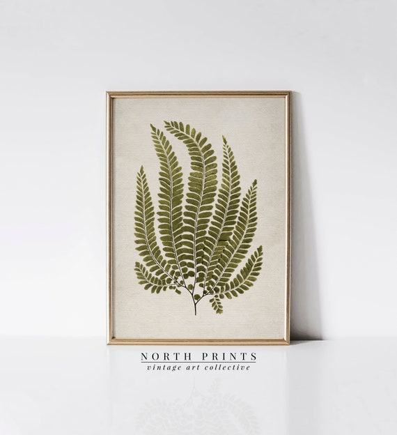 French Country Vintage Fern Art Print, Botanical