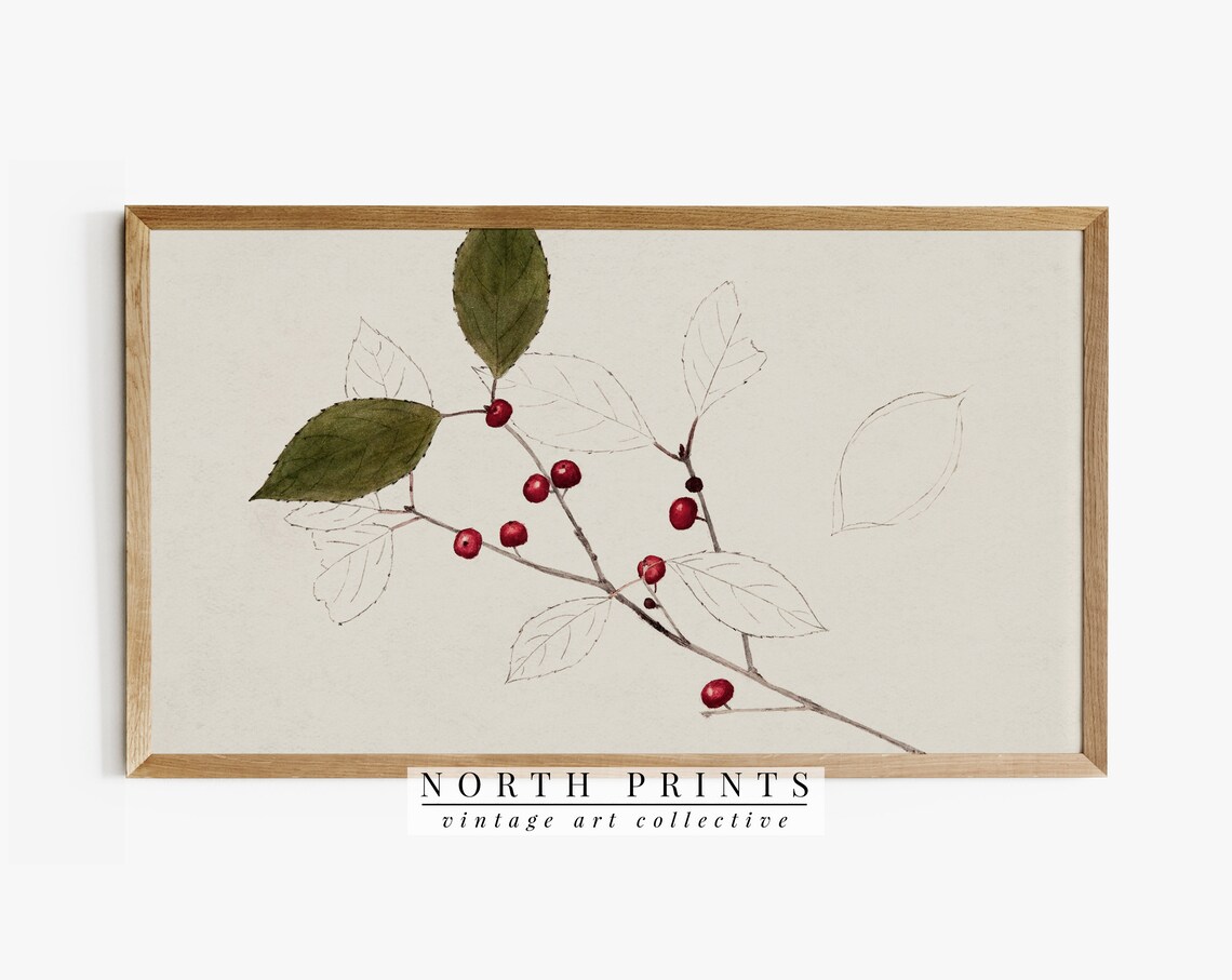 Vintage Neutral Winter Berry Sketch Holiday Art Print