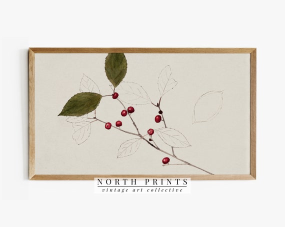 Vintage Neutral Winter Berry Sketch Holiday Art Print