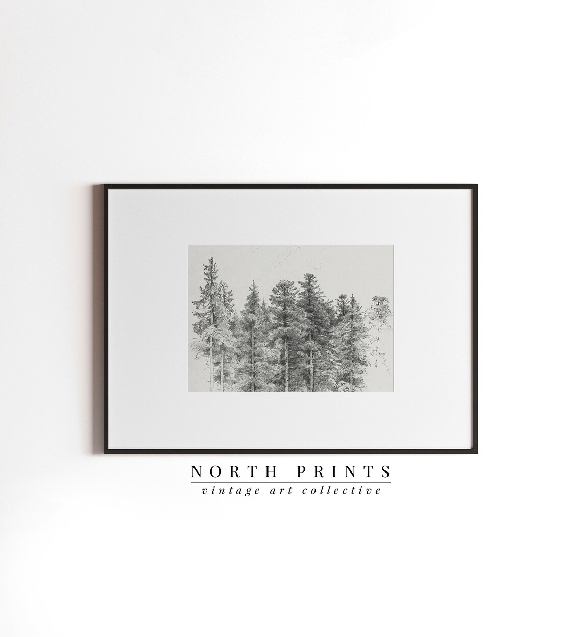 Antique Pine Tree Forest Sketch, Neutral Winter Sketch - Image 3
