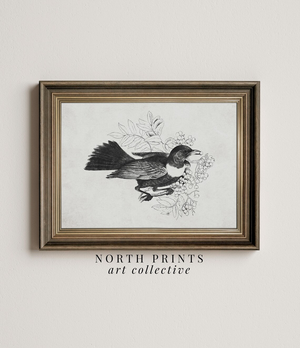 Victorian Wild Bird Illustration Berries Minimalist Sketch Art Poster