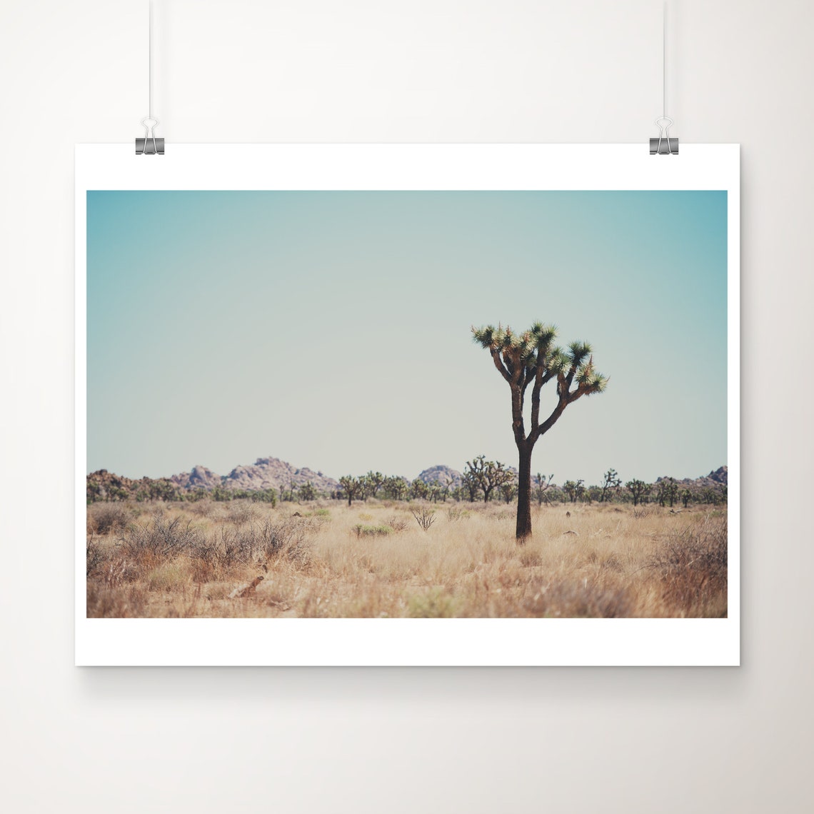 Joshua Tree National Park Mojave Desert Morning Photography Print