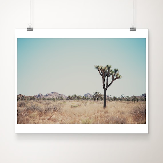 Joshua Tree National Park Mojave Desert Morning Photography Print