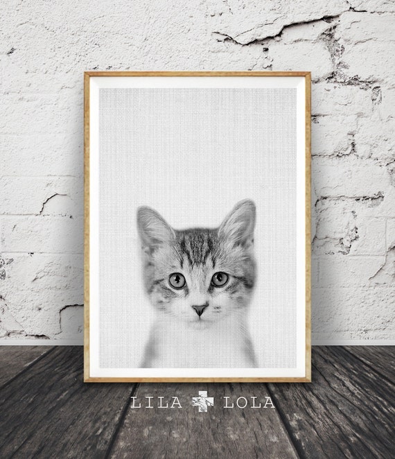 Kitten Photo Print, Black And White Nursery Art