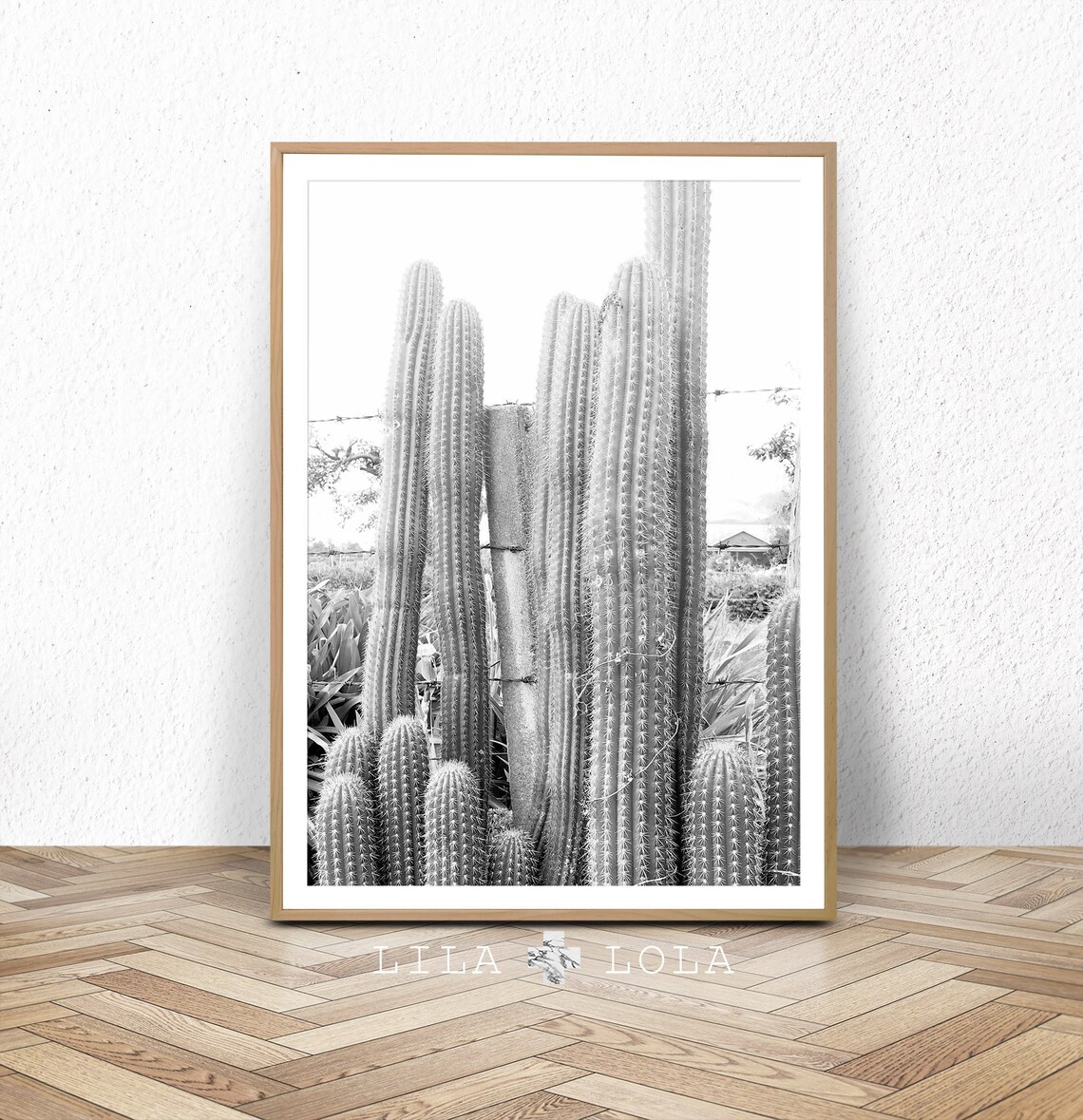 Black And White Cactus Art Print, Southwestern Decor