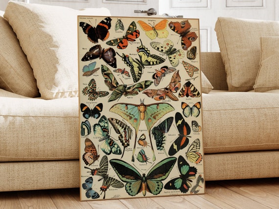 Adolphe Millot Print Butterflies Antique Wall Art Vintage Art Adolphe Millot Print Vintage Botanical Art