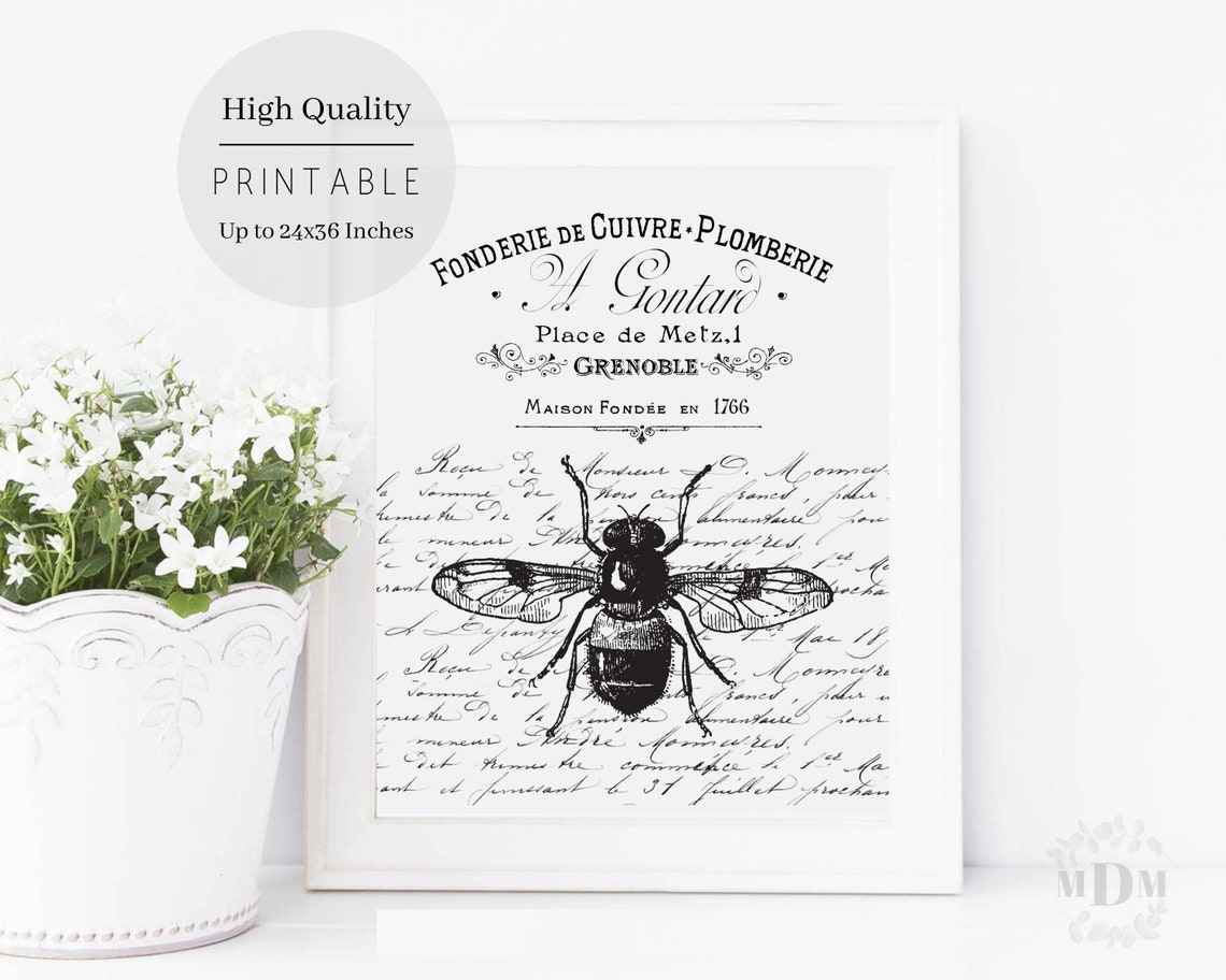 Black Bee French Script Typography Vintage Grenoble Black White Poster - Image 4