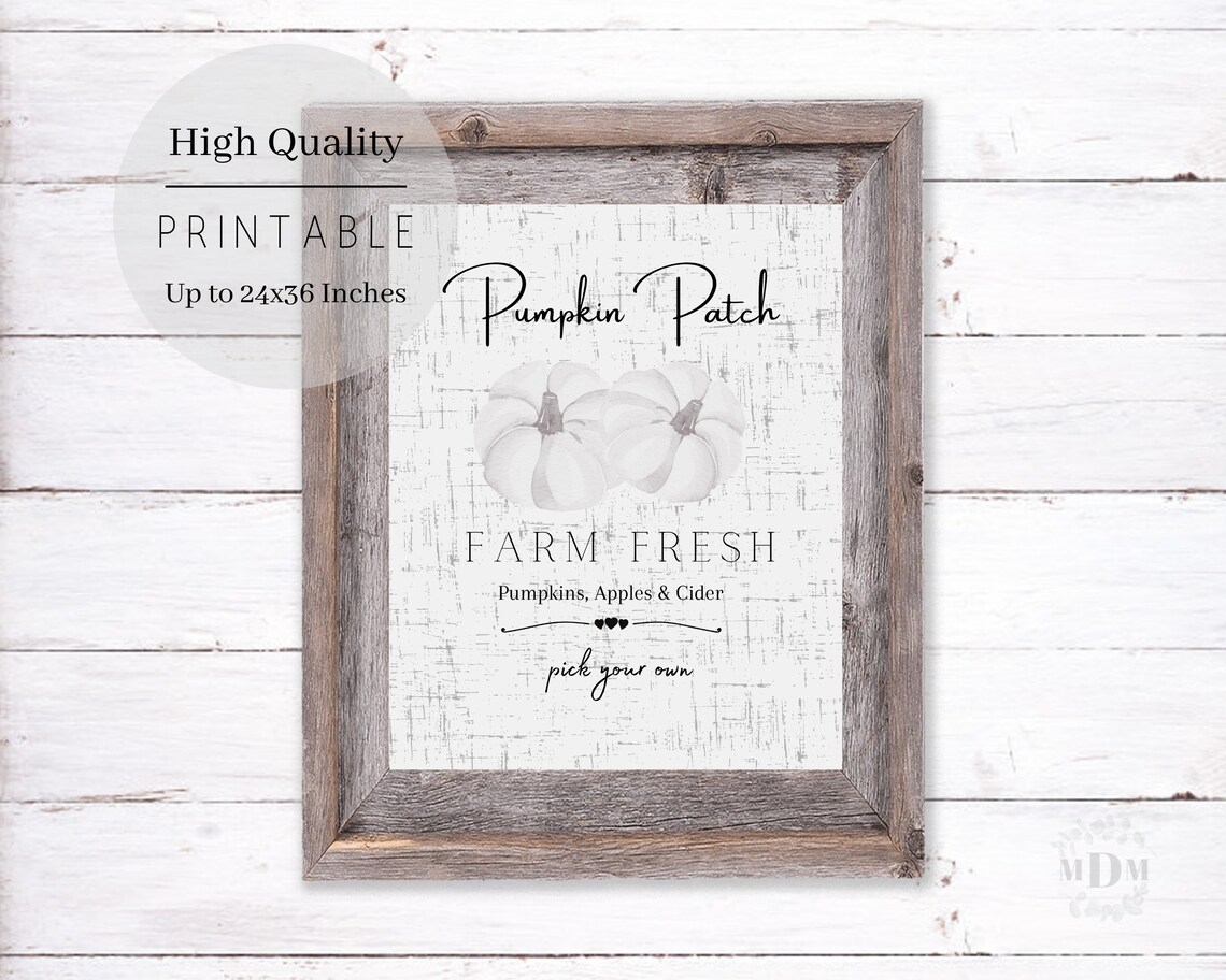Pumpkin Patch Farm Fresh White Pumpkins Distressed Fall Sign Wall Poster - Image 3
