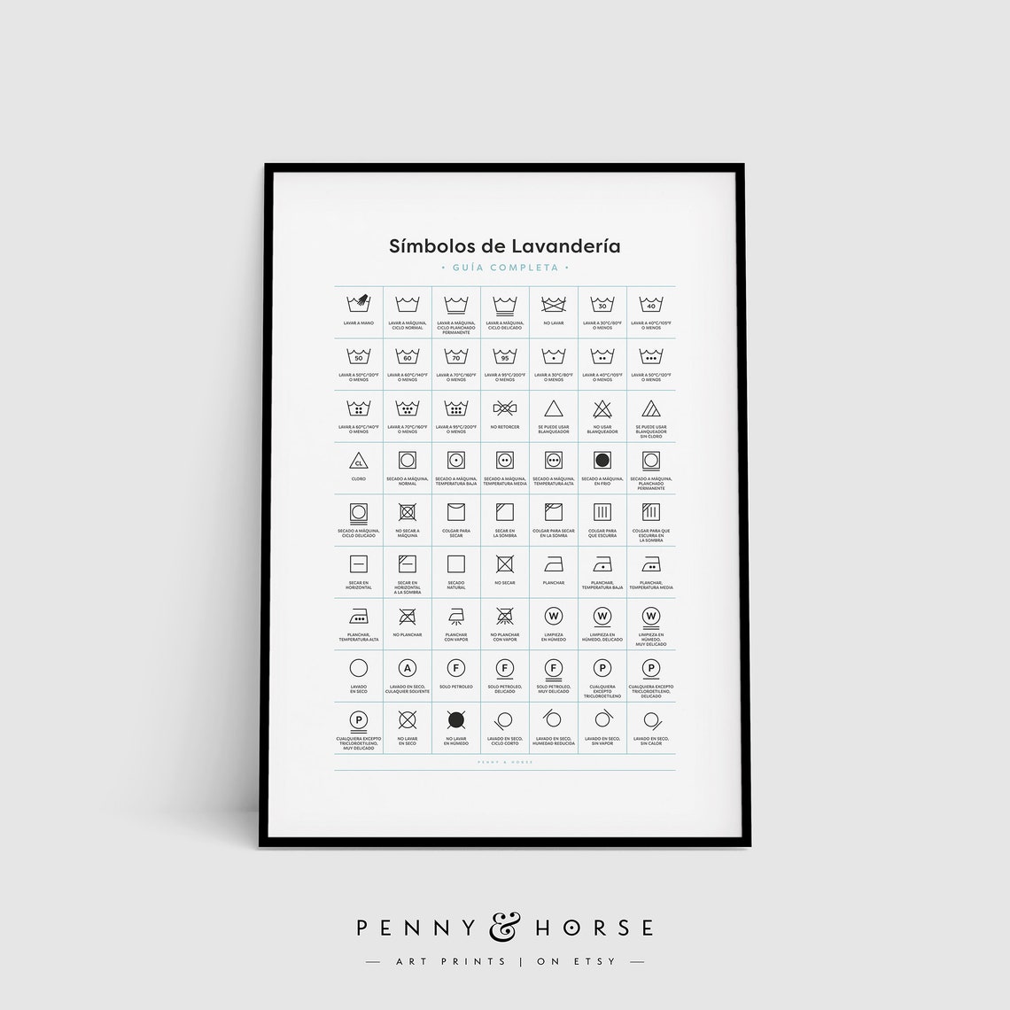 Spanish Laundry Symbols Complete Care Guide Wash Chart Poster