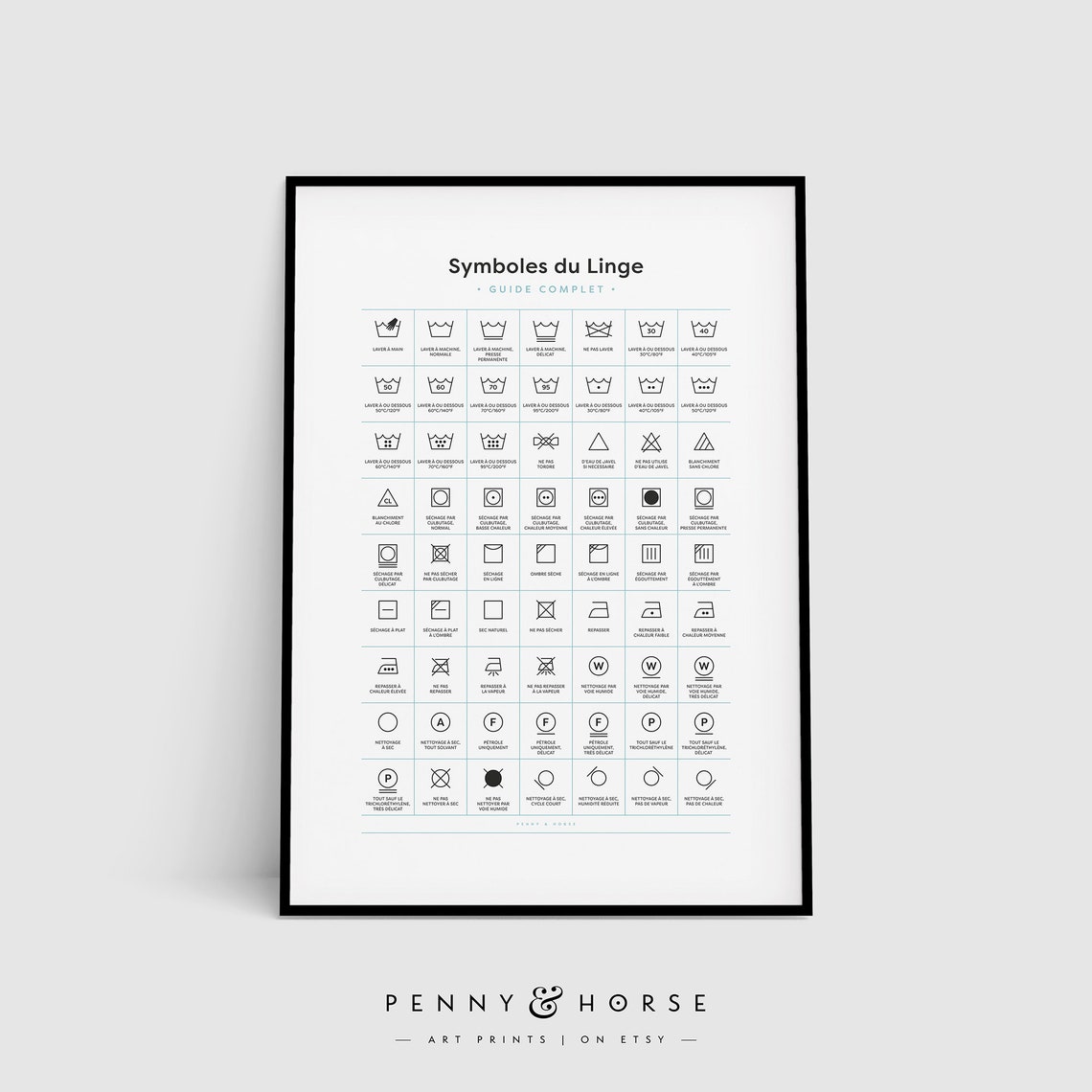 French Laundry Care Symbols Complete Guide Minimalist Wall Art