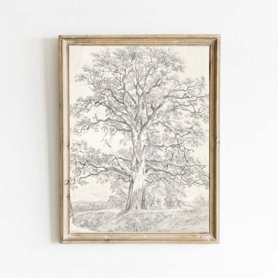Vintage Oak Tree Sketch, French Country Art Print