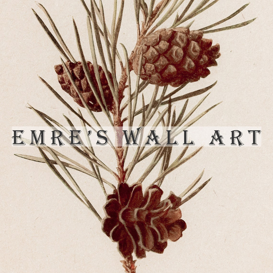 Winter Berries Pine Botanical Trio Set Vintage Holiday Art Poster - Image 2