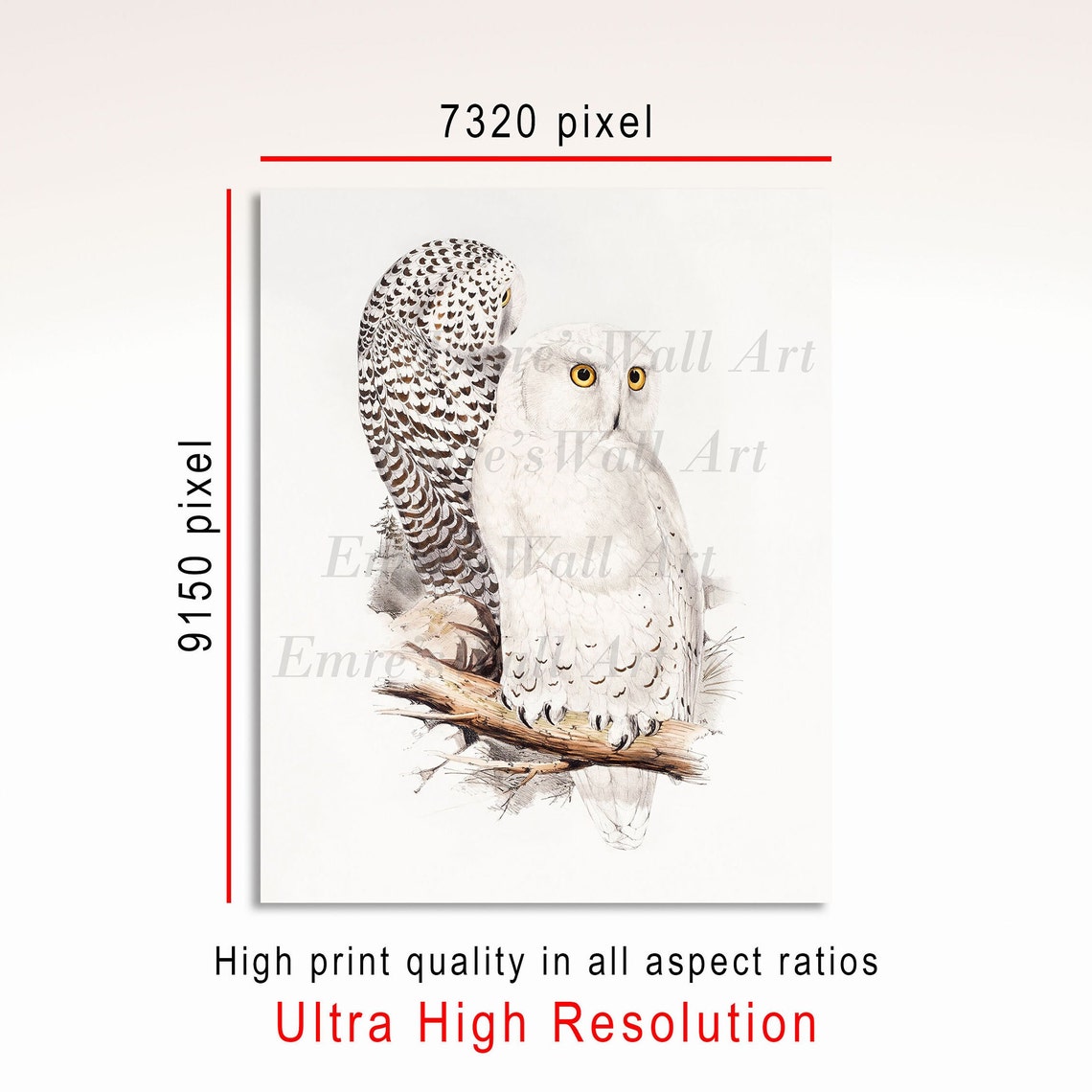 Two Snowy White Owls on Branch Vintage Bird Illustration Art Poster - Image 3