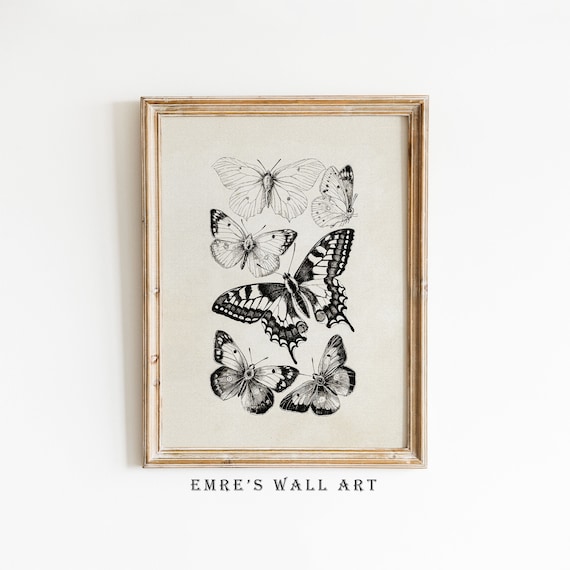 Vintage Butterfly Sketch Art Print, Butterfly Drawing