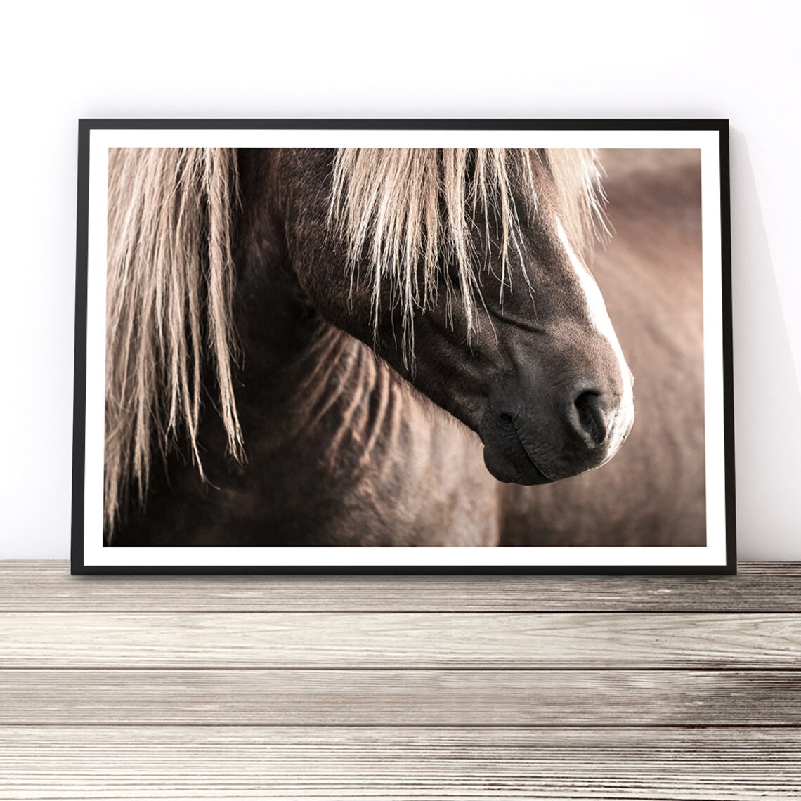 Horse Stallion Art Print, Equine Wall Art Decor