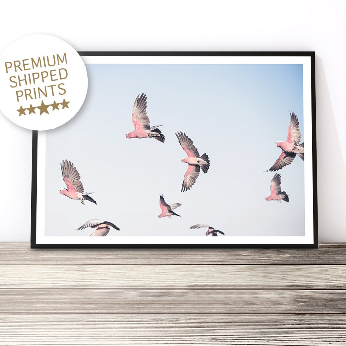 Cockatoo and Galah Australian Bird Art Print