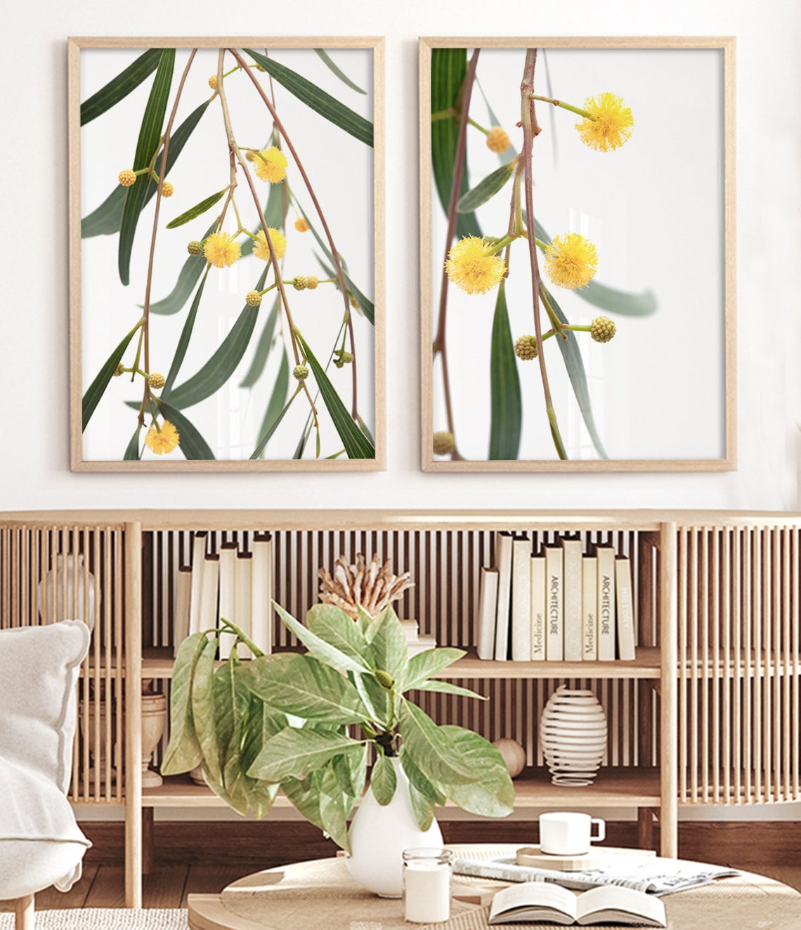 Golden Wattle Australian Native Flower Yellow Blossom Botanical Poster - Image 3