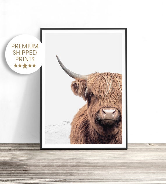 Highland Cow Man Cave Decor Poster