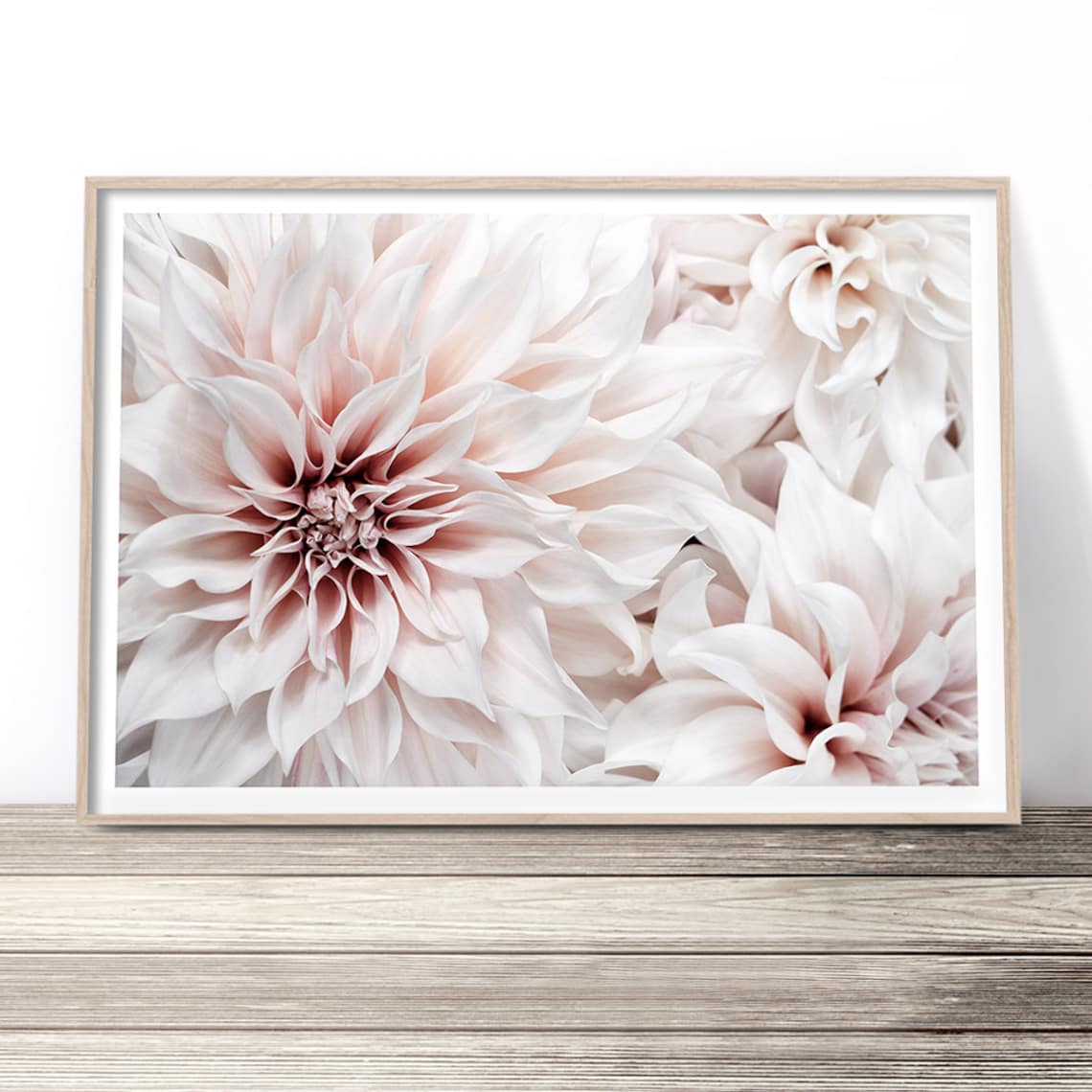 Blush Pink Dahlia Flower Close Up Floral Photography Wall Art Print