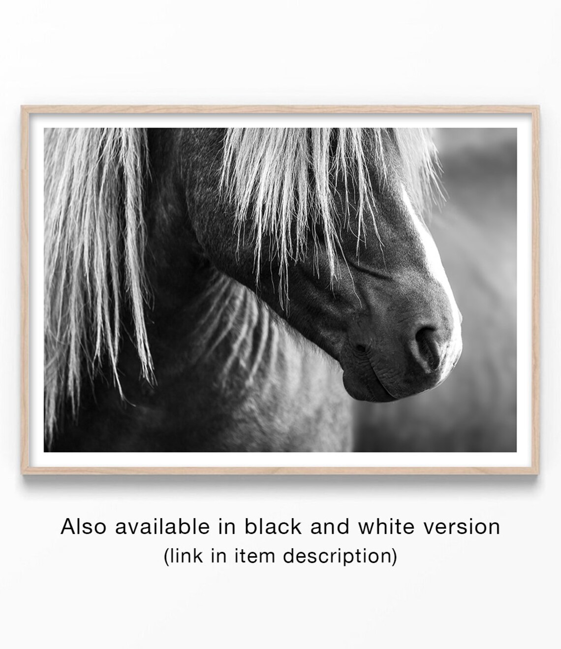 Horse Stallion Art Print, Equine Wall Art Decor - Image 2