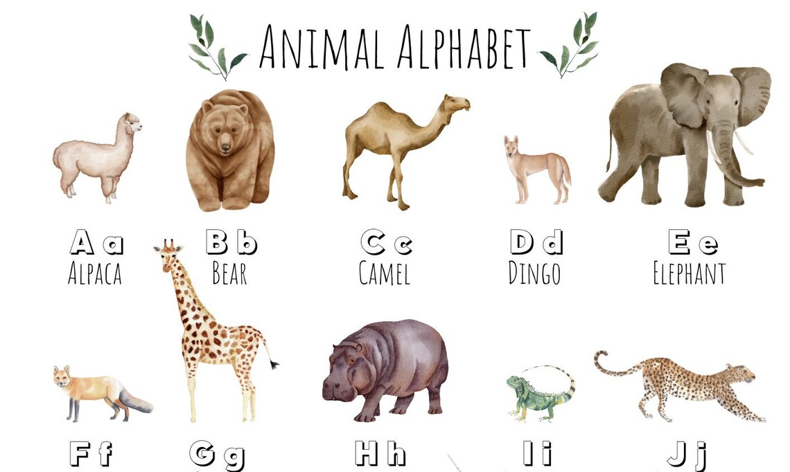 Watercolor Animal Alphabet A to O Kids Educational Nursery Art Poster - Image 4