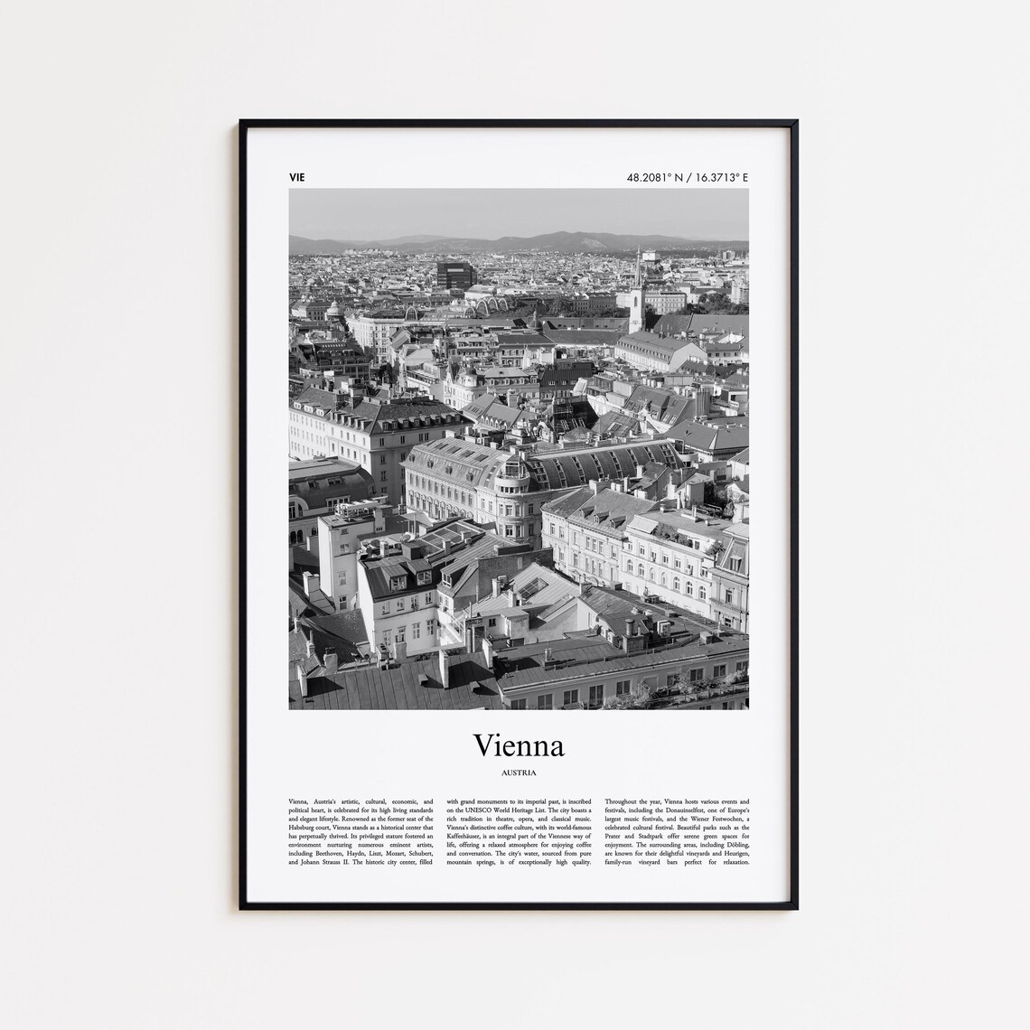 Vienna Austria Rooftops Cityscape Black and White Photo Poster