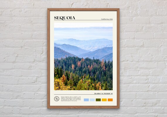 Sequoia National Park California Mountain Forest Photography Poster