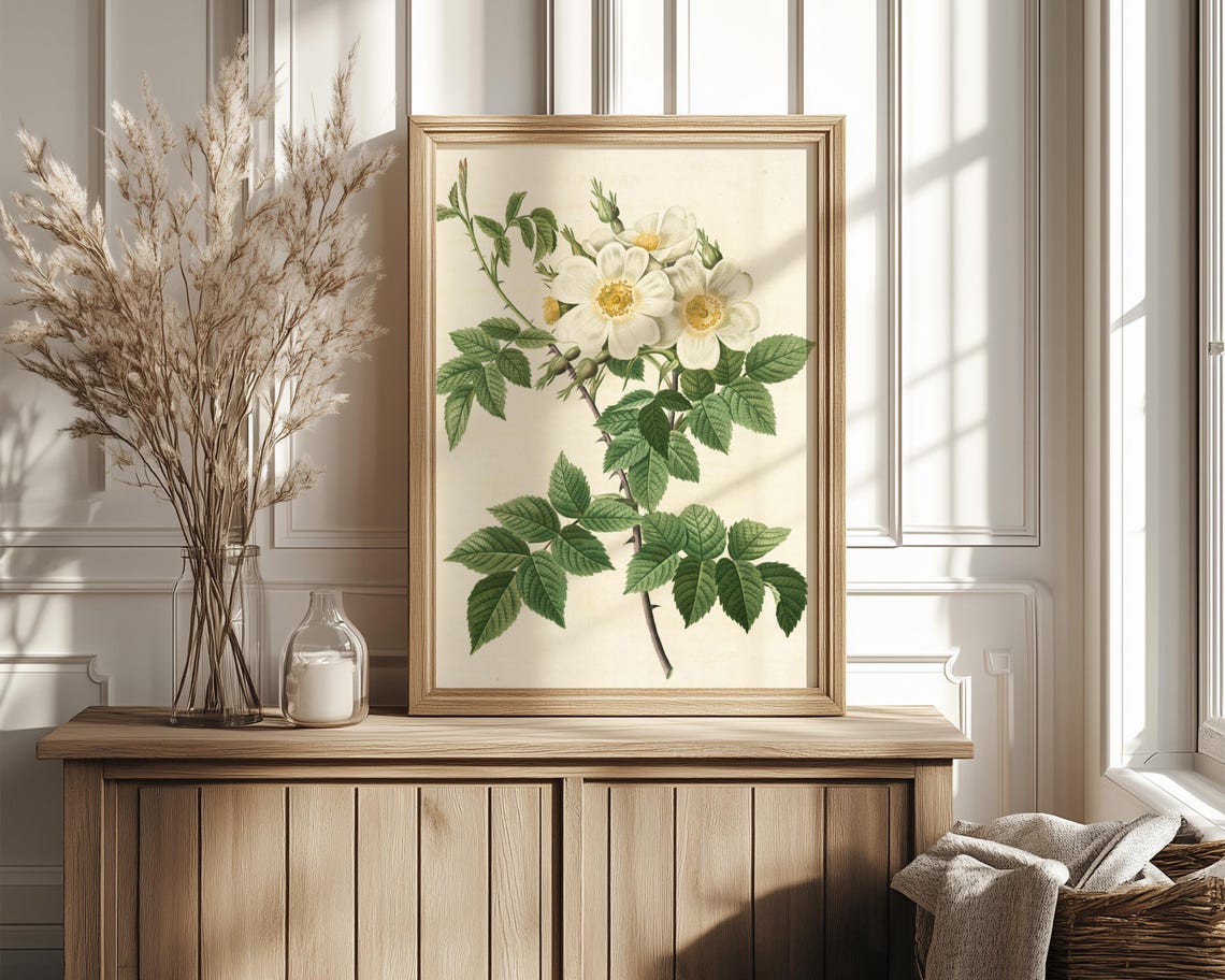 White Wild Rose Blossom Cluster Vintage Botanical Illustration Poster - Image 4
