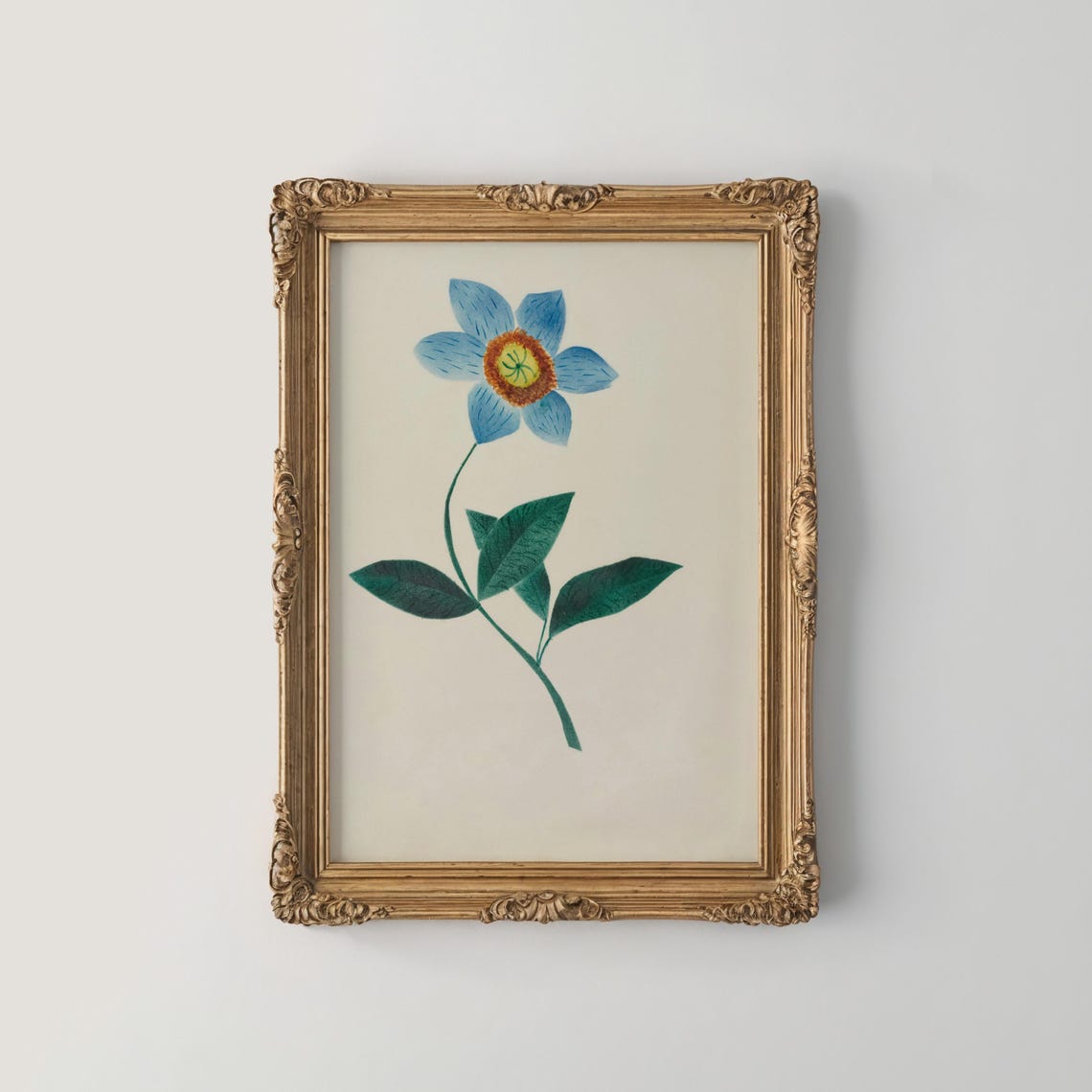 Single Blue Flower Minimalist Botanical Study Wall Decor Print