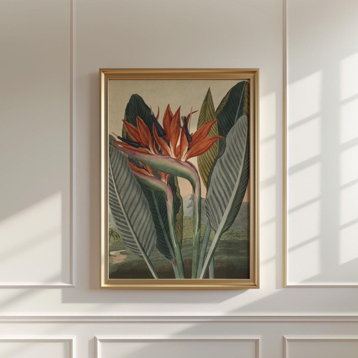 Bird of Paradise Tropical Flower Vintage Botanical Illustration Poster - Image 5