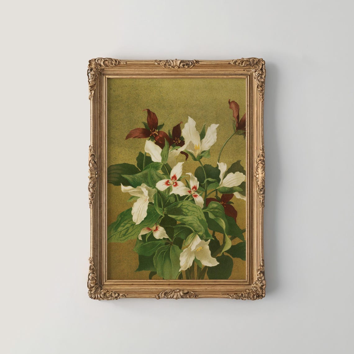 White Blossoms with Burgundy Foliage in Vintage Botanical Art Poster