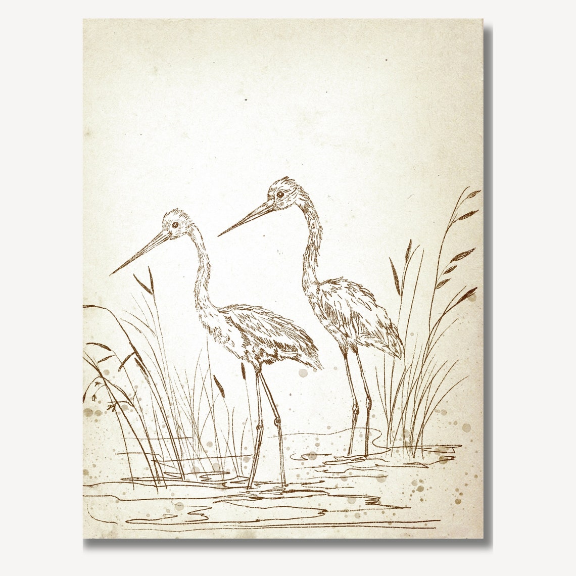 Two Herons Tall Marsh Grass Vintage Ink Sketch Bird Art Print - Image 4