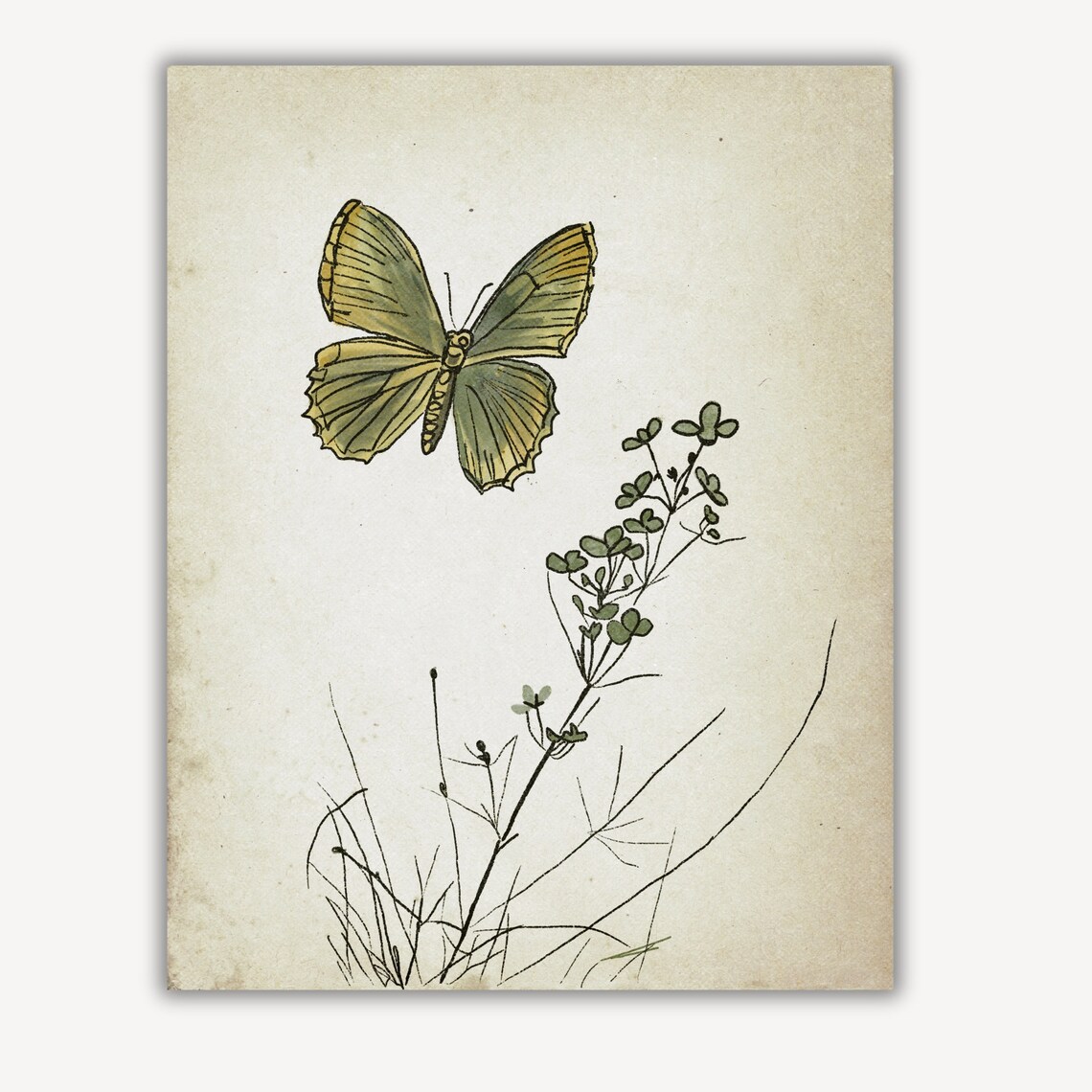 Green Butterfly with Blossom Antique Botanical Sketch Nursery Poster - Image 2