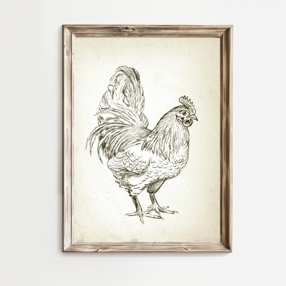 Vintage Rooster Ink Sketch Farmhouse Bird Rustic Country Wall Art