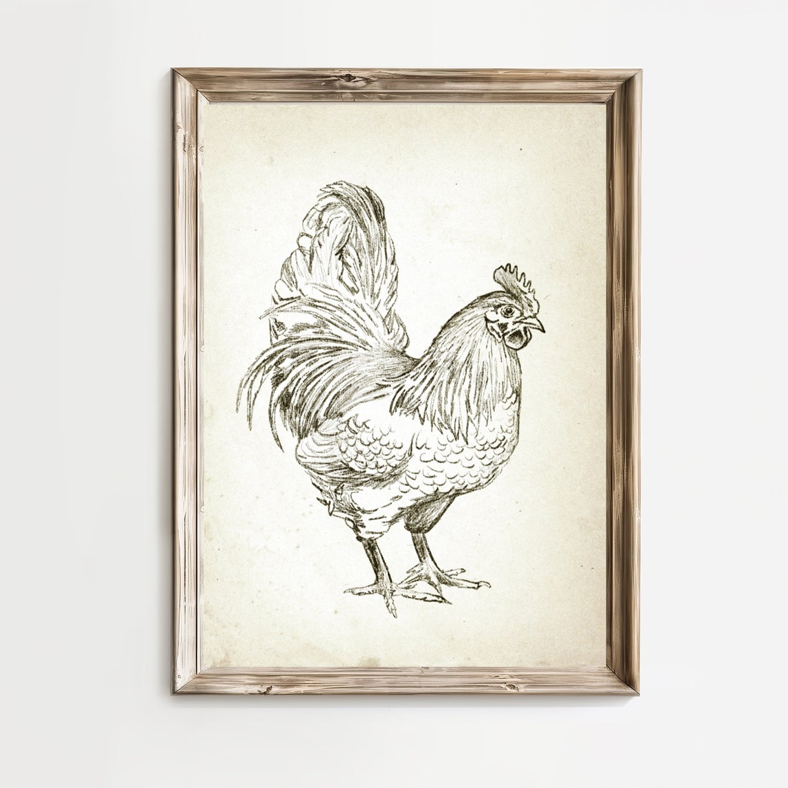 Vintage Rooster Ink Sketch Farmhouse Bird Rustic Country Wall Art