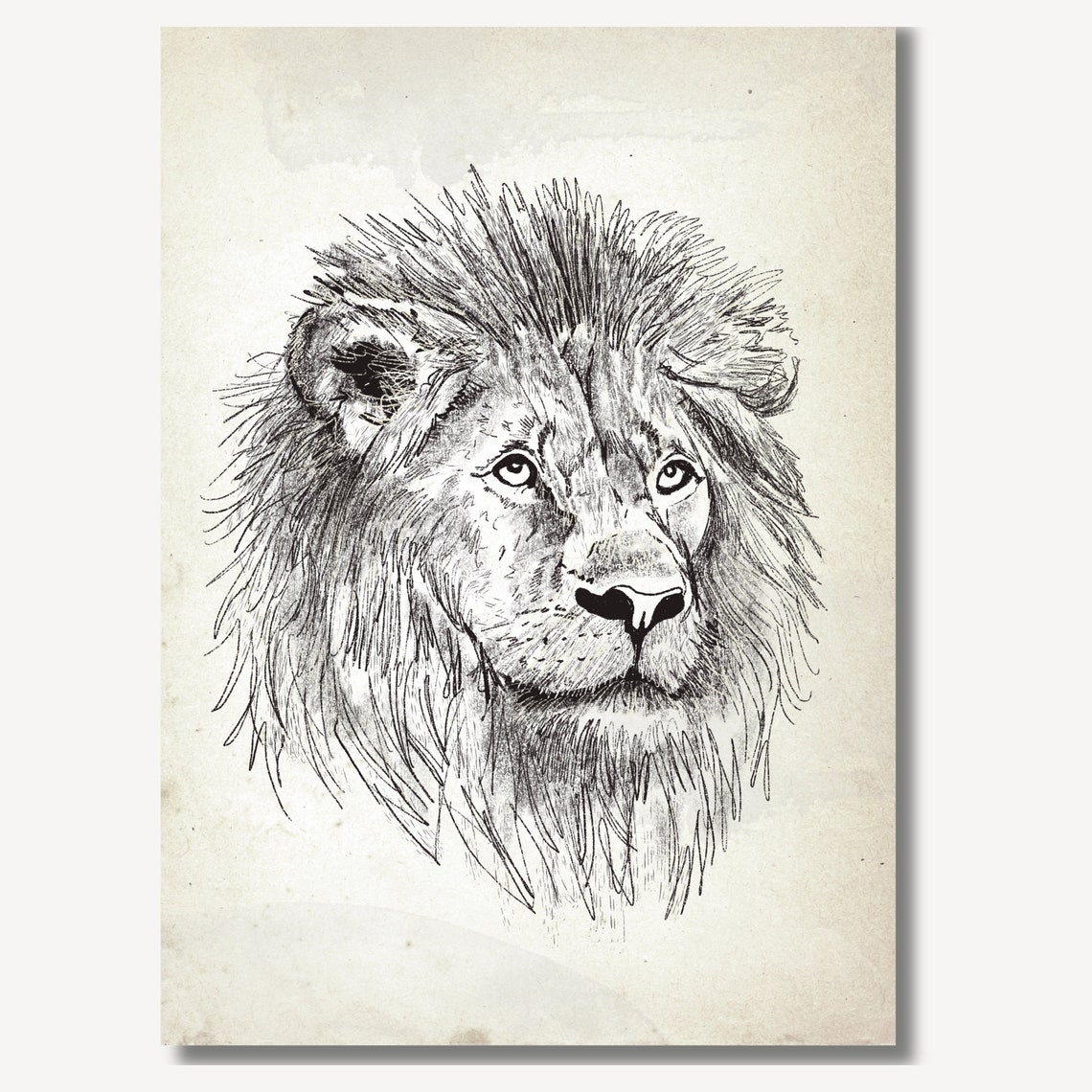 Bold Lion Head Ink Portrait in Antique Safari Sketch Art Poster - Image 2