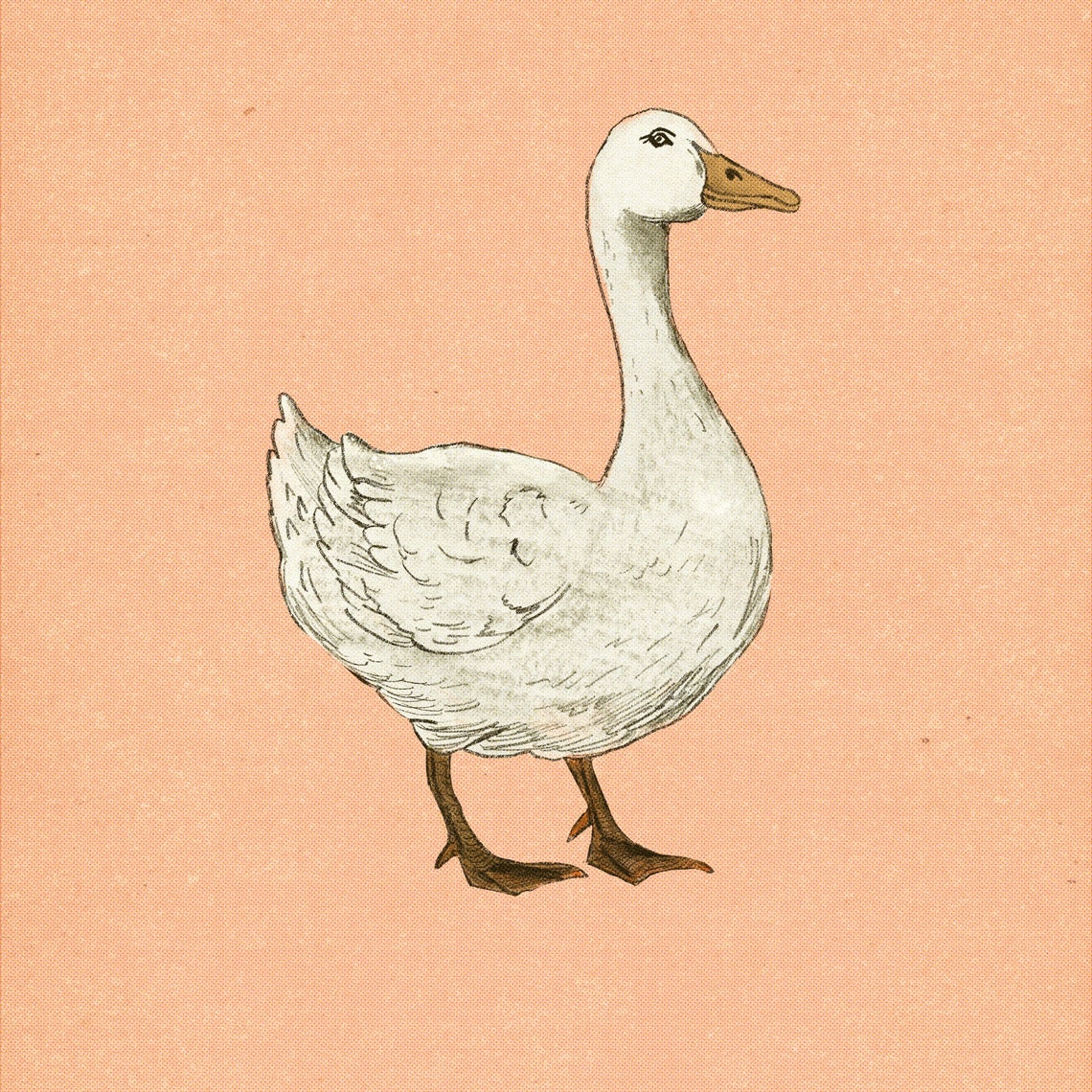 White Goose Nursery Sketch Blush Pink Background Farmhouse Poster - Image 4