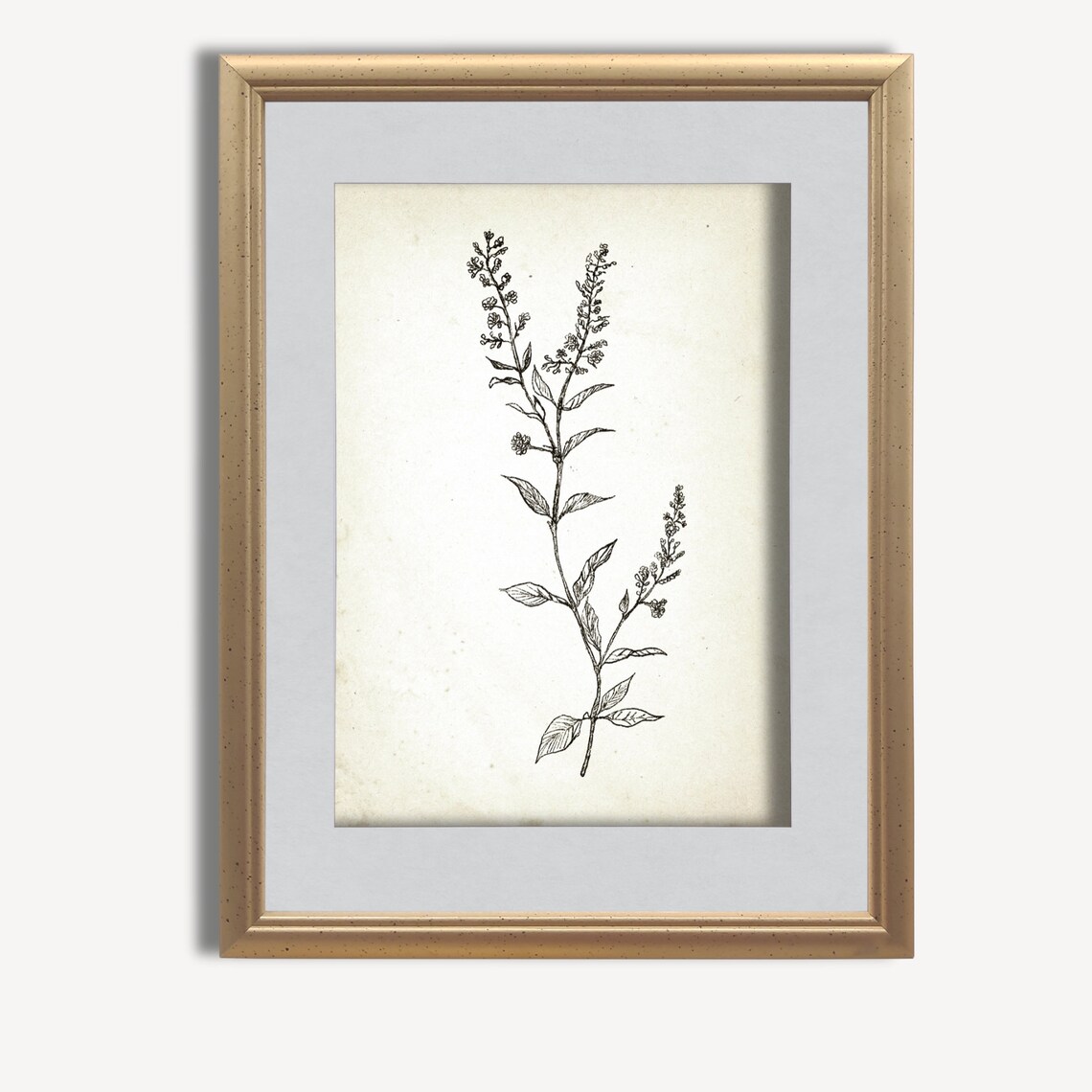 Vintage Botanical Ink Sketch Flowering Branch Farmhouse Print - Image 3
