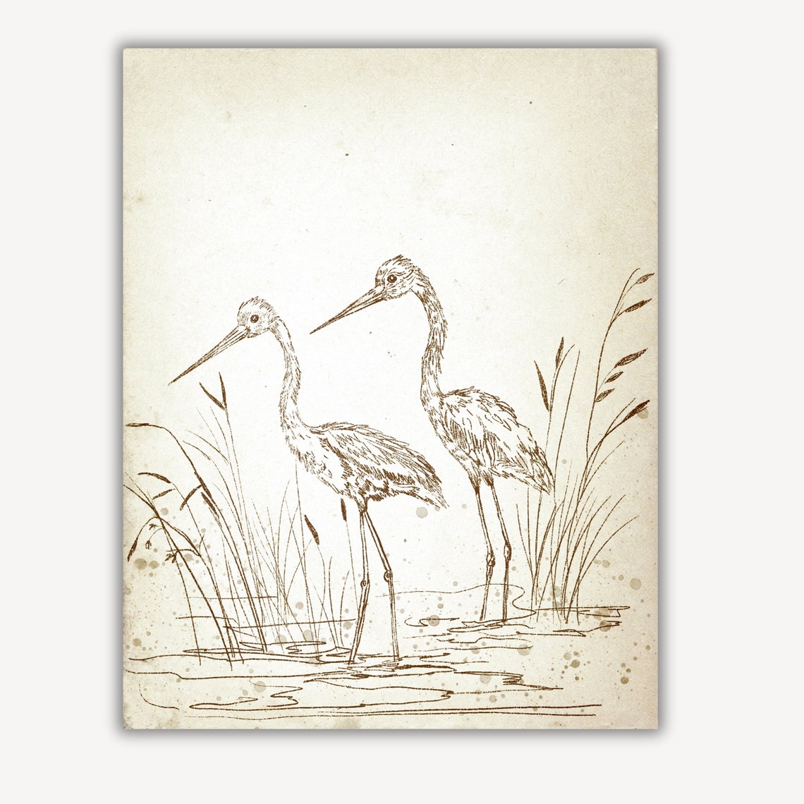 Two Herons Tall Marsh Grass Vintage Ink Sketch Bird Art Print - Image 2